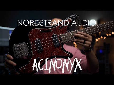 Nordstrand Audio Acinonyx Review!
