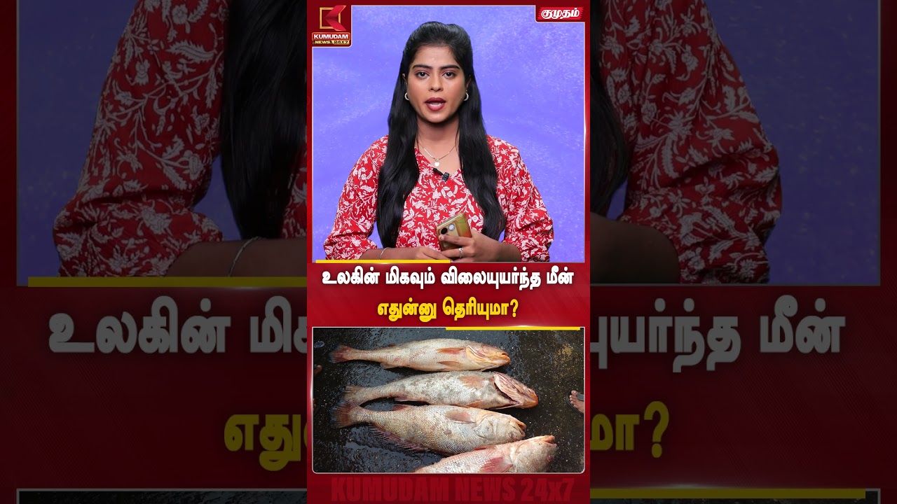 உலகின் மிக விலையுயர்ந்த மீன் எதுன்னு தெரியுமா..? | GoldFish | Kumudam News