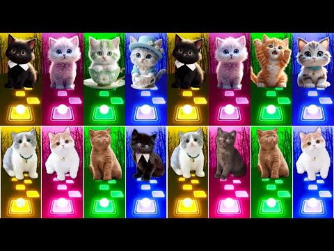 📹 ALL CUTE CATS PT.5 - IMAGINE DRAGONS ENEMY - JISOO FLOWER   SHAKIRA WAKA WAKA - LISA MONEY