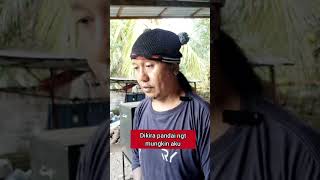 Download lagu AFRAID OF HIS ASS BEING LOOKED AT #comedy #funny #laugh #funny #busungbiu joke #just entertainment mp3