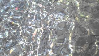 Let there be love - Sirje Nergaard