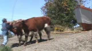 preview picture of video 'BOTADURA LANCHA KAWESQAR..QUEILEN-CHILOE'