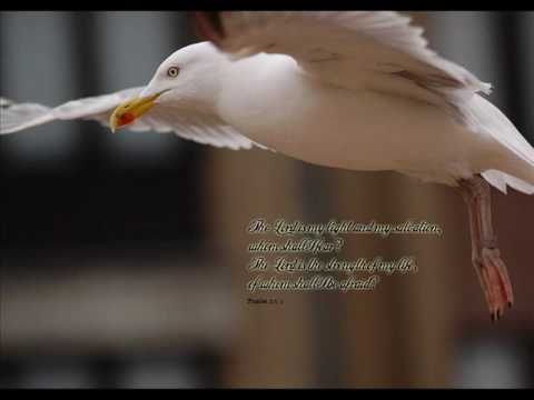 let me walk to paradise with you,Load.wmv