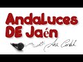 Qué ver en jaén 14 Video thumbnail