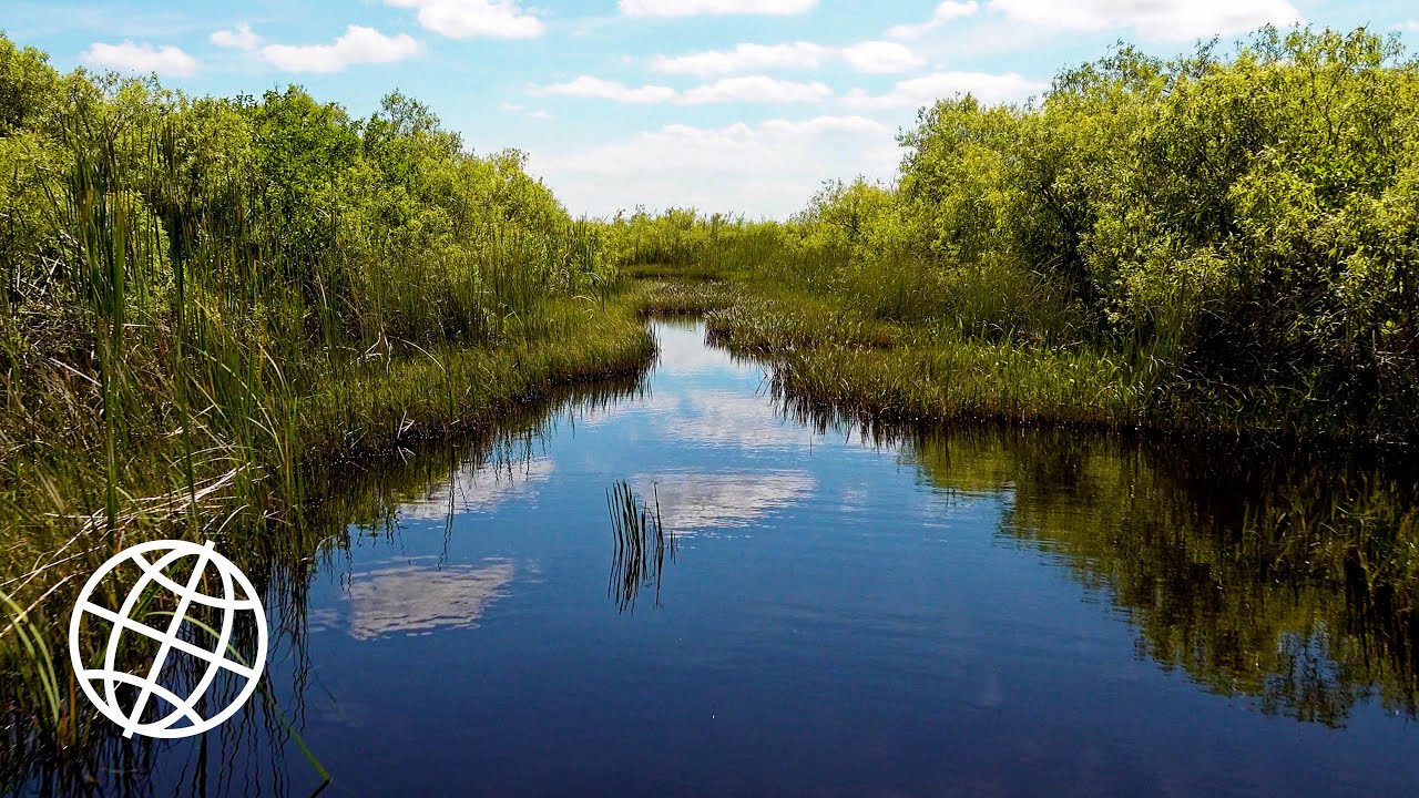 Everglades National Park, Florida, USA in 4K Ultra HD