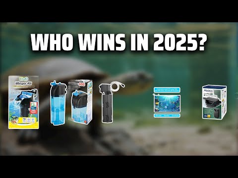 The Top 5 Best Turtle Tank Filter in 2025 - Must Watch Before Buying!