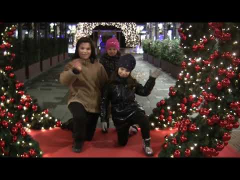 Non ci cascheremo mai (cover con testo/lyrics) - 66° Zecchino d'Oro