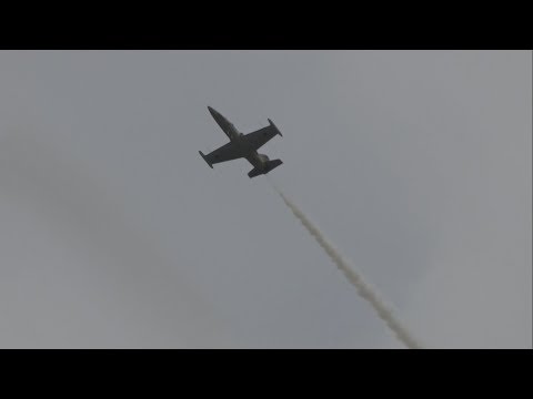 2019 New York International Air Show - Larry Labriola & L-39 Albatross