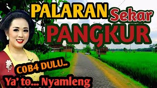 Download lagu GENDING UYON UYON KAGEM HAJATAN MANTU - GENDING KLASIK LAWAS TOMBO NGANTUK 🫩 - LEMBUT & NYAMLENG  mp3
