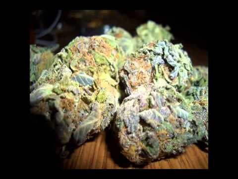 LITE THIS - NIGHTMARE FT. JAY ROOSEVELT