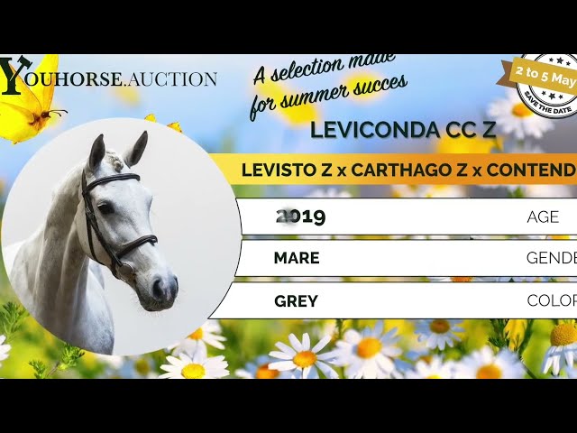 Leviconda showvideo