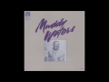 Muddy Waters - 21.Flood