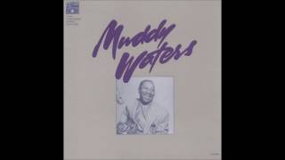 Muddy Waters - 21.Flood