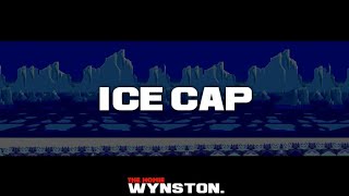 Sonic The Hedgehog 3 | Ice Cap Freestyle Beat | @TheHomieWynston