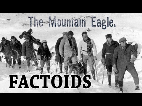 Mountain Eagle Kentucky