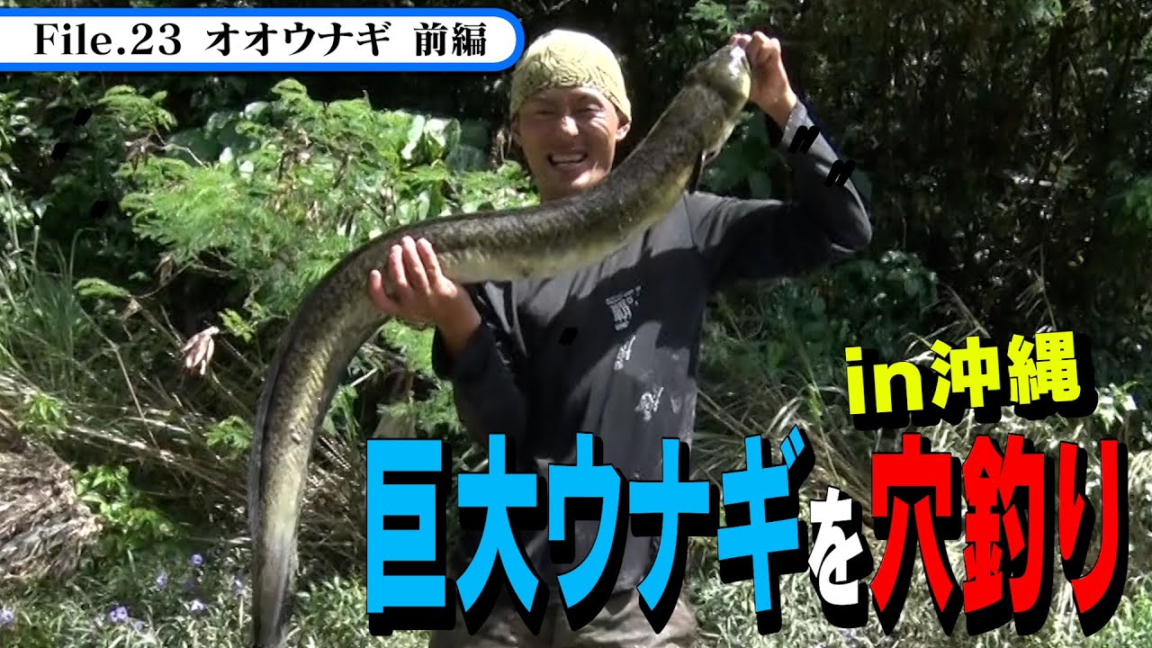 【巨大ウナギ】　File23《オオウナギ前編》日頃二ホンウナギ釣り上げる「穴釣り」の技術ははたしてオオウナギに通用するのか？