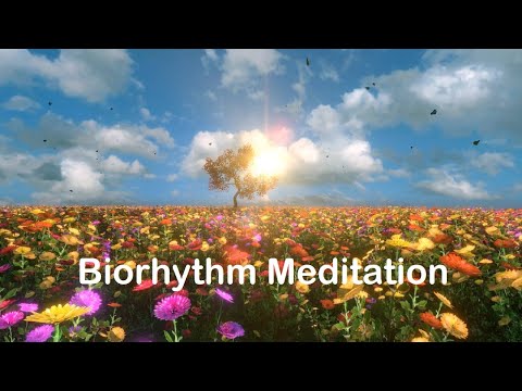 Biorhythm Meditation – Music To Increase Your Vibration And Attract Money, Health, Love #meditation