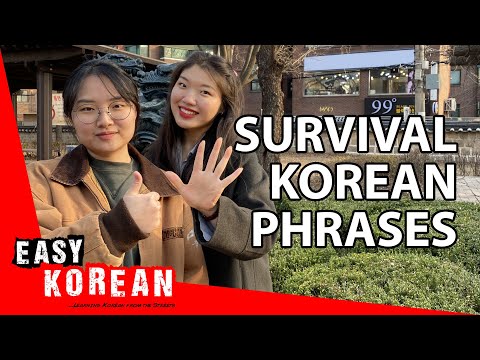 韓国旅行で知っておきたい表現15選｜超簡単韓国語21選 (15 must-know expressions when travelling in Korea | Super Easy Korean 21)