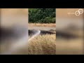 Vrachtwagenchauffeurs blussen bermbrand A50