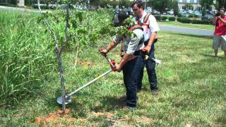 How To Use a Clearing Saw