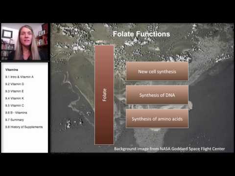 9.6 ビタミン：ビタミンB群 (9.6 Vitamins: B-Vitamins)