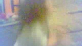 gingle bel l&quot;Willie Nelson-Jingle Bells&quot;,