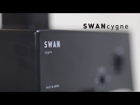 【通信販売】業務用アイスクリームやジェラート・冷凍フルーツなら｜Sweet-Kiss