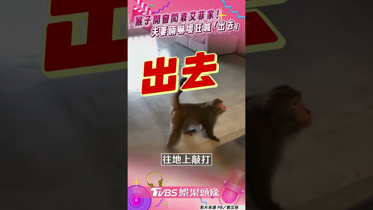 影音/猴子「開窗」闖袁艾菲豪宅! 夫妻倆嚇壞驅趕狂喊「出去」