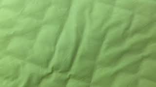 にしけんを殺しました‼️
