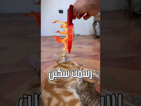 جربت سكين رسم وهمية على قطتي🔪😨#رسم #drawing #shorts