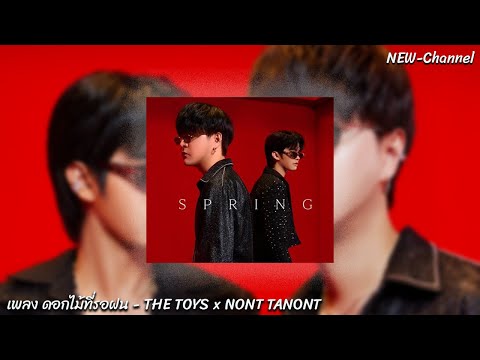 ดอกไม้ที่รอฝน - THE TOYS x NONT TANONT