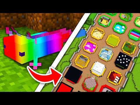 I Built a Zoo For Minecraft's Rarest Mobs