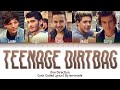 One Direction - Teenage Dirtbag [Color Coded Lyrics]