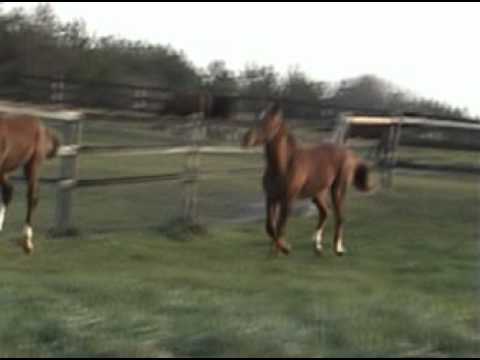 Boundless Nov 2011.mpg