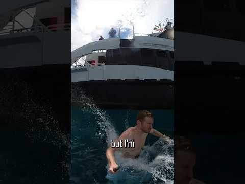 Why YOU Shouod Get a 360 Action Cam | Insta 360 one RS