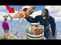 MEGALODON vs. KING KONG In GTA 5.. (MODS) MEGALODON vs. KING KONG In GTA 5.. (MODS)