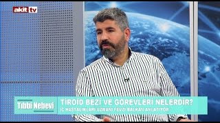 Tıbbi Nebevi - Tiroid bezi nedir ?