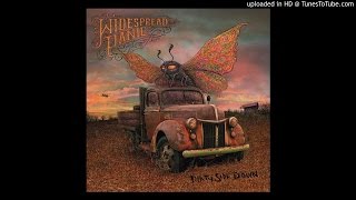 Widespread Panic - This Cruel Thing