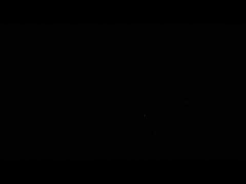 Feuerwerk Pyro-Team Berlin - Feuerwerk zum MSA 2019 Trabrennbahn Berlin-Karlshorst Feuerwerk Pyro-Team Berlin - Feuerwerk zum MSA 2019 Trabrennbahn Berlin-Karlshorst