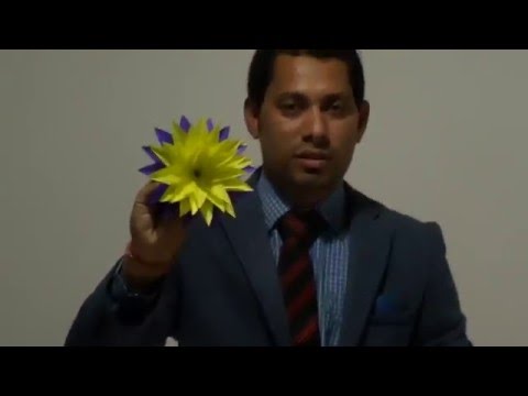 indian paper art part 2