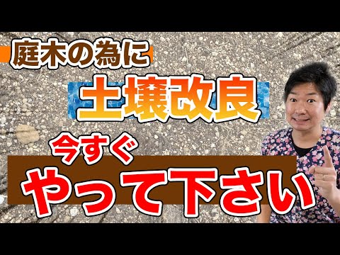 冬場の土壌浸食を防ぐにはどうすればよいでしょうか？今すぐ庭で取り入れるべき10のアクション！  庭園