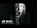 Joe Walsh - Hi Roller Baby from Analog Man