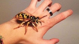 Giant Wasp on my Hand - 3D Hand Art Illusion