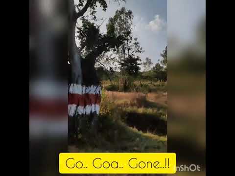 Manika B'day Goa trip