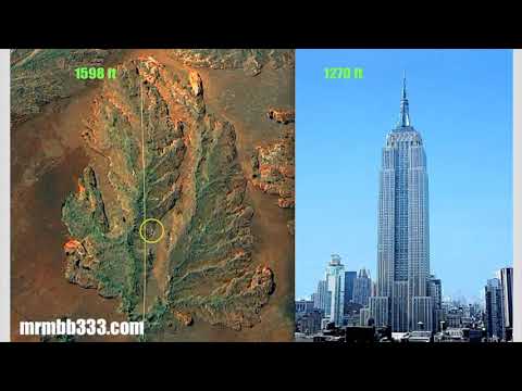 How tall were these Giant Trees, Part 21