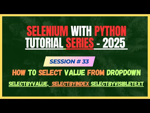 Python Selenium How To Get Value