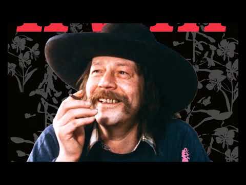 Härmäläinen Perusjuntti - Irwin Goodman