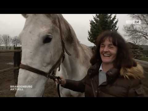 Landschleicher - Baitz - 19.12.2021 - RBB 24 - Brandenburg aktuell