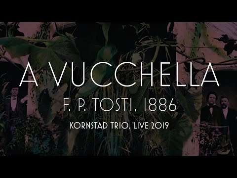 Håkon Kornstad Trio – "A Vucchella" (F. P. Tosti), Live (2019)
