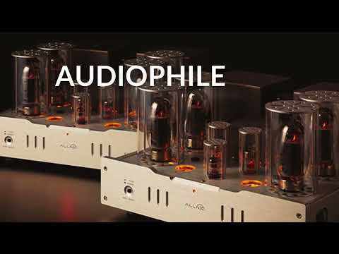 Pure Hi-Fi Sound 🎧 High-Resolution 24bit FLAC Audio Experience